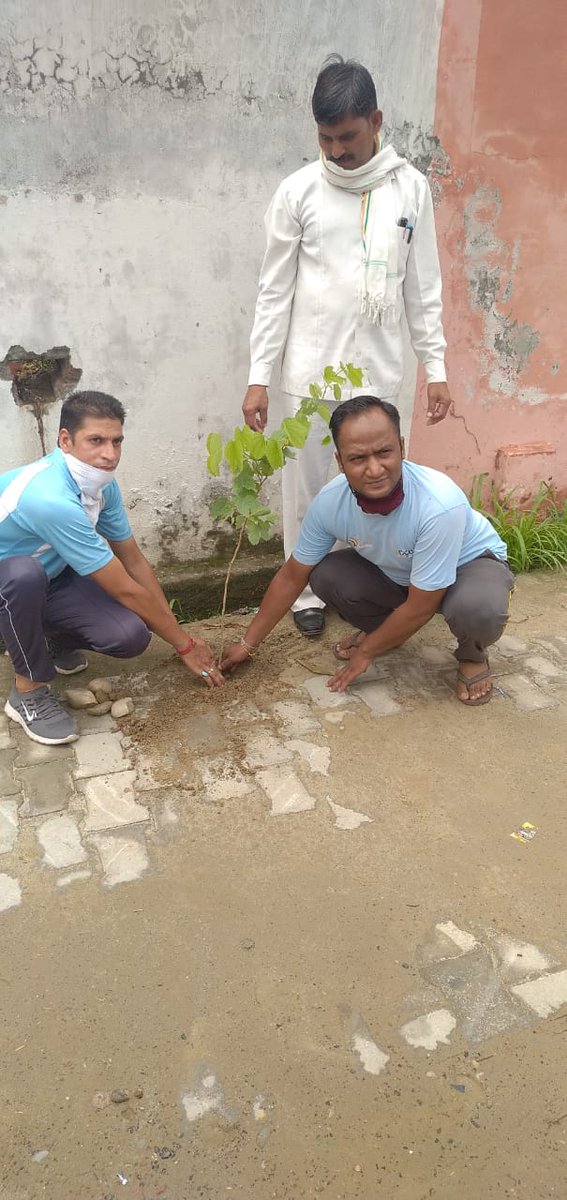 saurabhasha2685's tweet photo. दिनांक 05-07-2020 को वृक्षारोपण करते हुए csc vle सौरभ पांचाल जिला मुज़फ्फरनगर
#cscupdiwas
@Avinash78683033
@CSCUttarPradesh
@avanish78
@shashisshukl
@sidd_sing
@SunnyTo60841555
@rishabhmzn
@sandeep29329836 https://t.co/EniD6ighFO