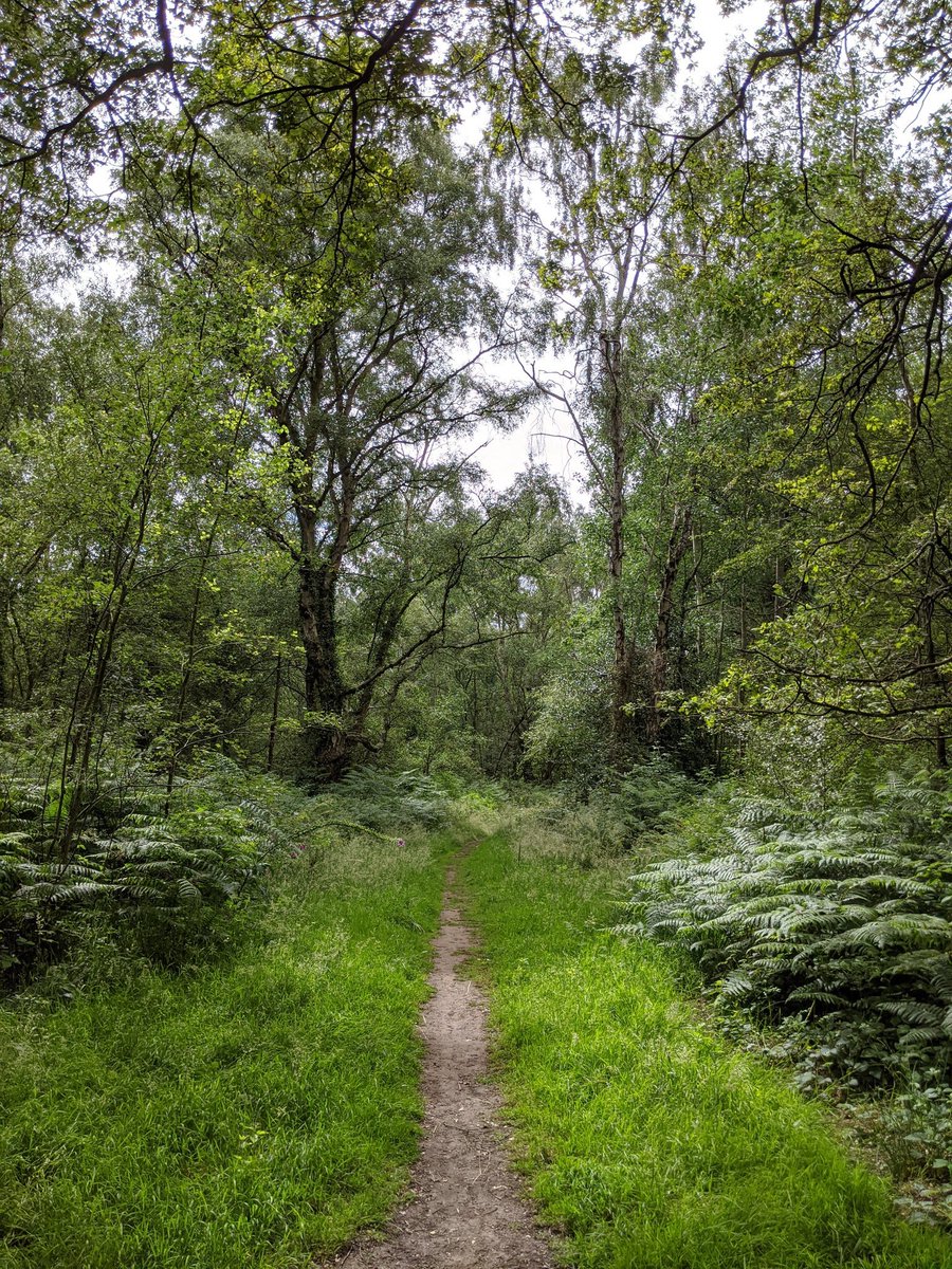 SuzW2014's tweet photo. #walking #therapyinnature 💚💙🙏 https://t.co/nQLpx4uX7n