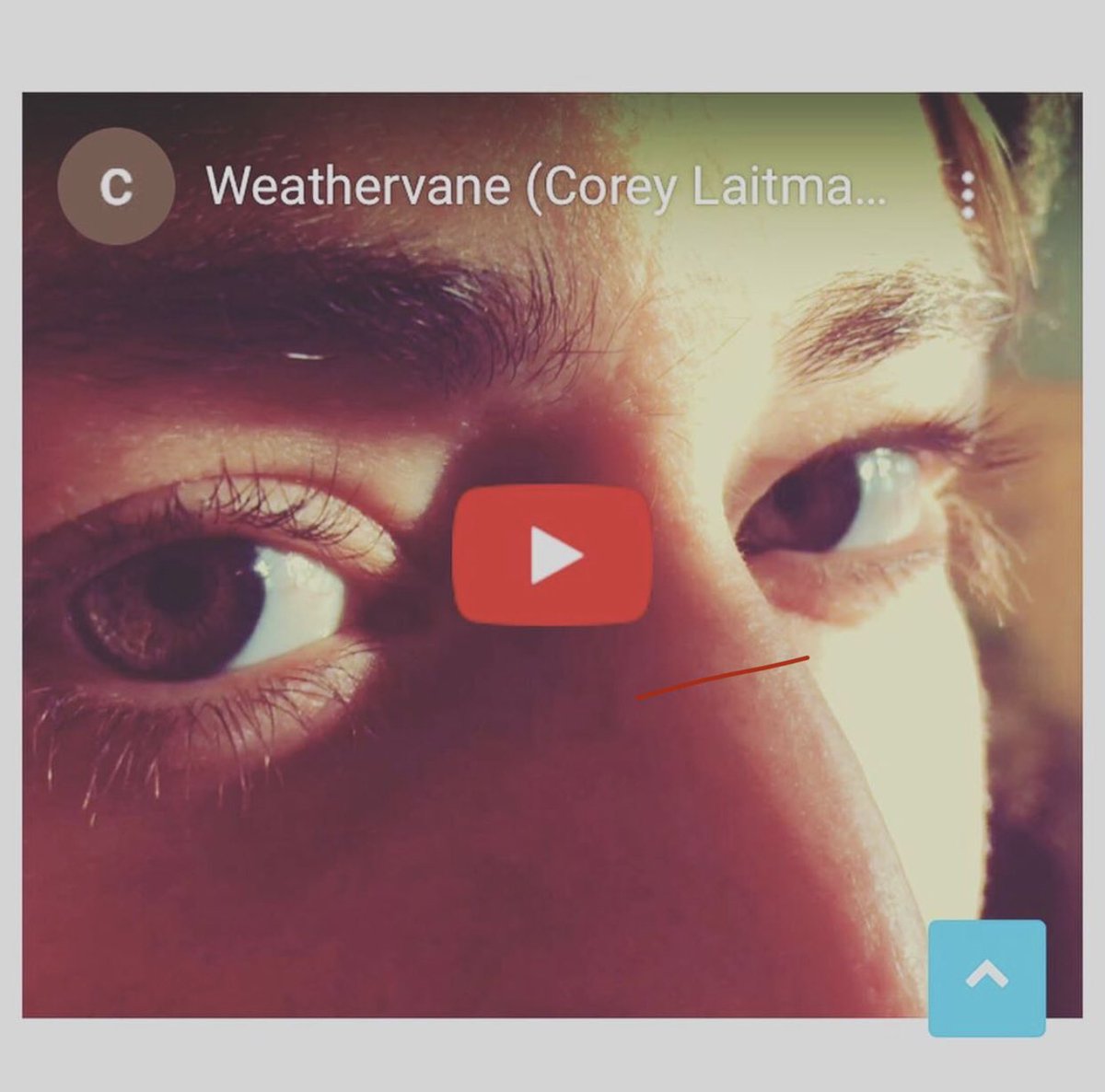 Corey Laitman tweet media