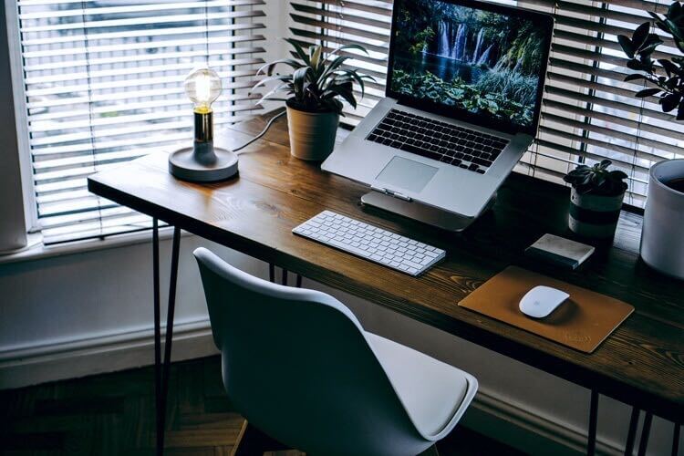 Leafi Home tweet media