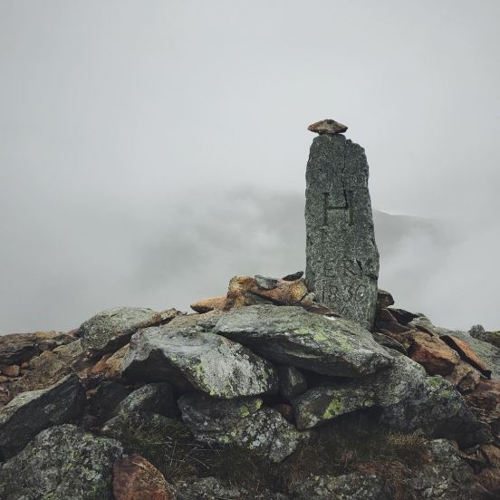 ImagesWithStories tweet media