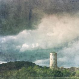 ImagesWithStories tweet media