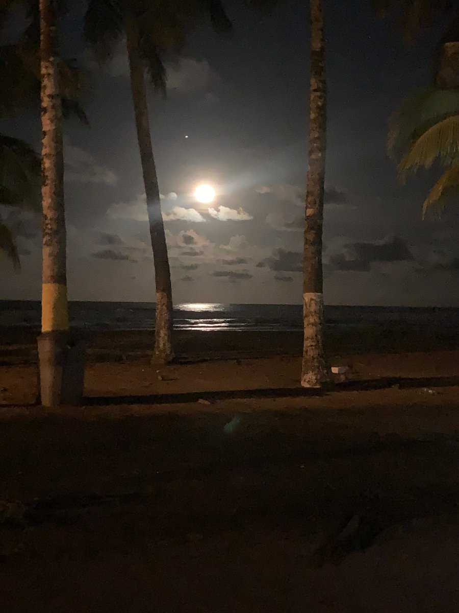 BrownQuiros's tweet photo. 💚🌕🌊 https://t.co/aig8SSfEh2