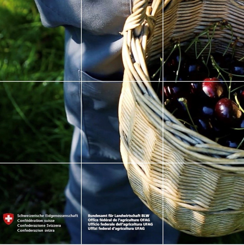 NEU*NOUVEAU*NOUVO*NEW
instagram.com/blw_ofag_ufag/