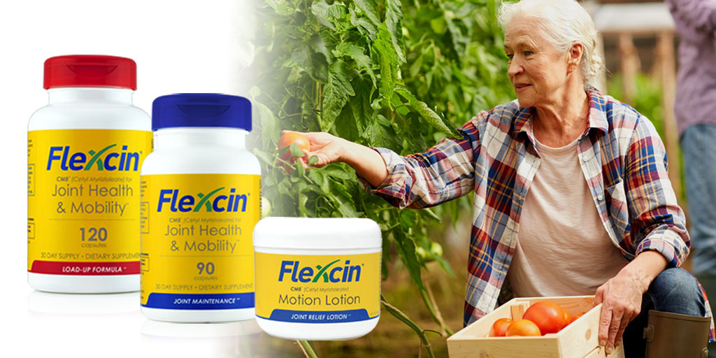 Flexcin's tweet photo. Our Flexcin formulas include natural ingredients that have properties that reduce inflammation. The ingredients in Flexcin help with all types of joint pain from swelling in a matter of days. #jointhealth #jointcare https://t.co/GMprN4l1Hw
