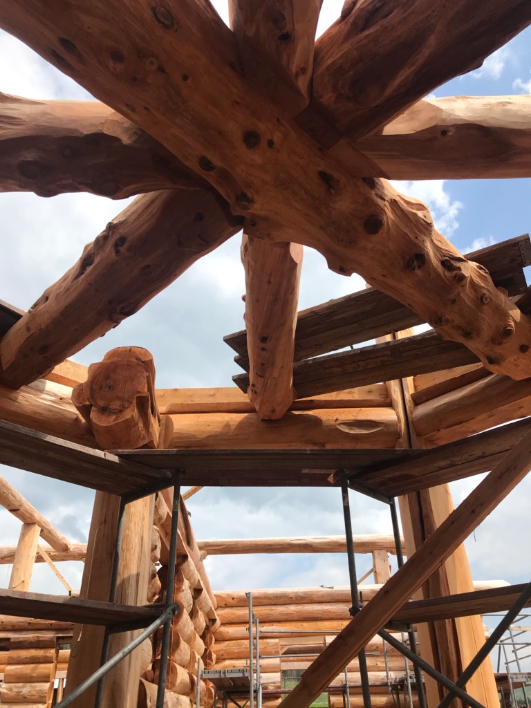 tk_martin82's tweet photo. Views from below of the floor joists in this log turret @PioneerLogHomes 
#timberkings #finestloghomesonearth https://t.co/kE1VG0tqoS