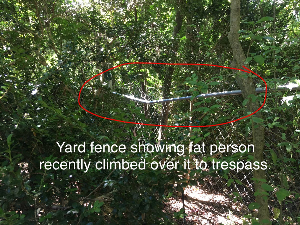 karen_kams56's tweet photo. #Tallahassee #TrailCamera “cyberstalking lie” by defective detective #PaulSalvo of the #LeonCountySheriffsDepartment. 
#LCSD Cyberstalking a FENCE and BUSHES? REALLY? FAT CHRIS HINES DEAN was stalking, trespassing, damaging property, assaulting.... nightly for a year. LCSD 😴😴😴 https://t.co/uM8XhReyHZ