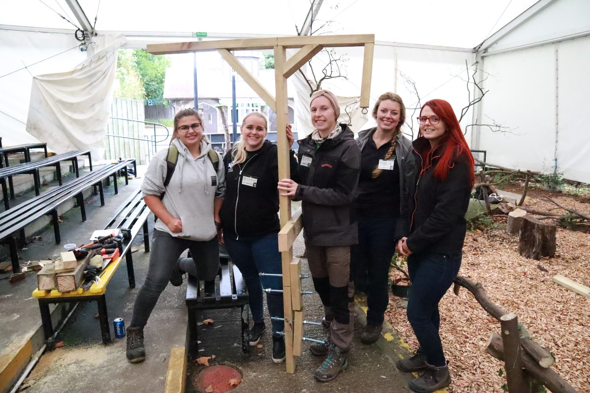 TeamBuildBITE's tweet photo. #TeambuildTuesday featuring a throwback to a build we ran during a conference at @ZSLLondonZoo last year!
#TBWB #TeamBuilding #EventProfs https://t.co/9FS7ONiCbG
