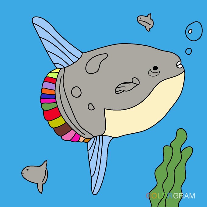 マンボウのtwitterイラスト検索結果