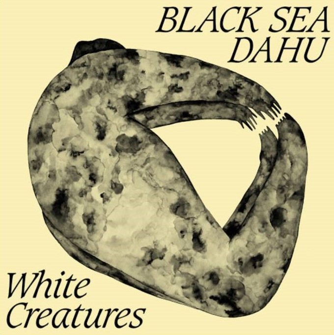 Mozarteam_'s tweet photo. #01 人生必聽歌單
“Black Sea Dahu - Big Mouth”
樂團Black Sea Dahu來自蘇黎世
主唱聲音溫暖、有磁性 適合情緒Blue的你聽💙
偶然在廣告發現的樂團
比在垃圾堆中找到💰還開心
不對 找到💰比較開心¯\_(ツ)_/¯
#BlackSeaDahu #whiteCreatures #BigMouth
#推薦 #音樂 #歌單 #歌曲
#好歌推薦 #音樂推薦 https://t.co/DEsZdCMR1a