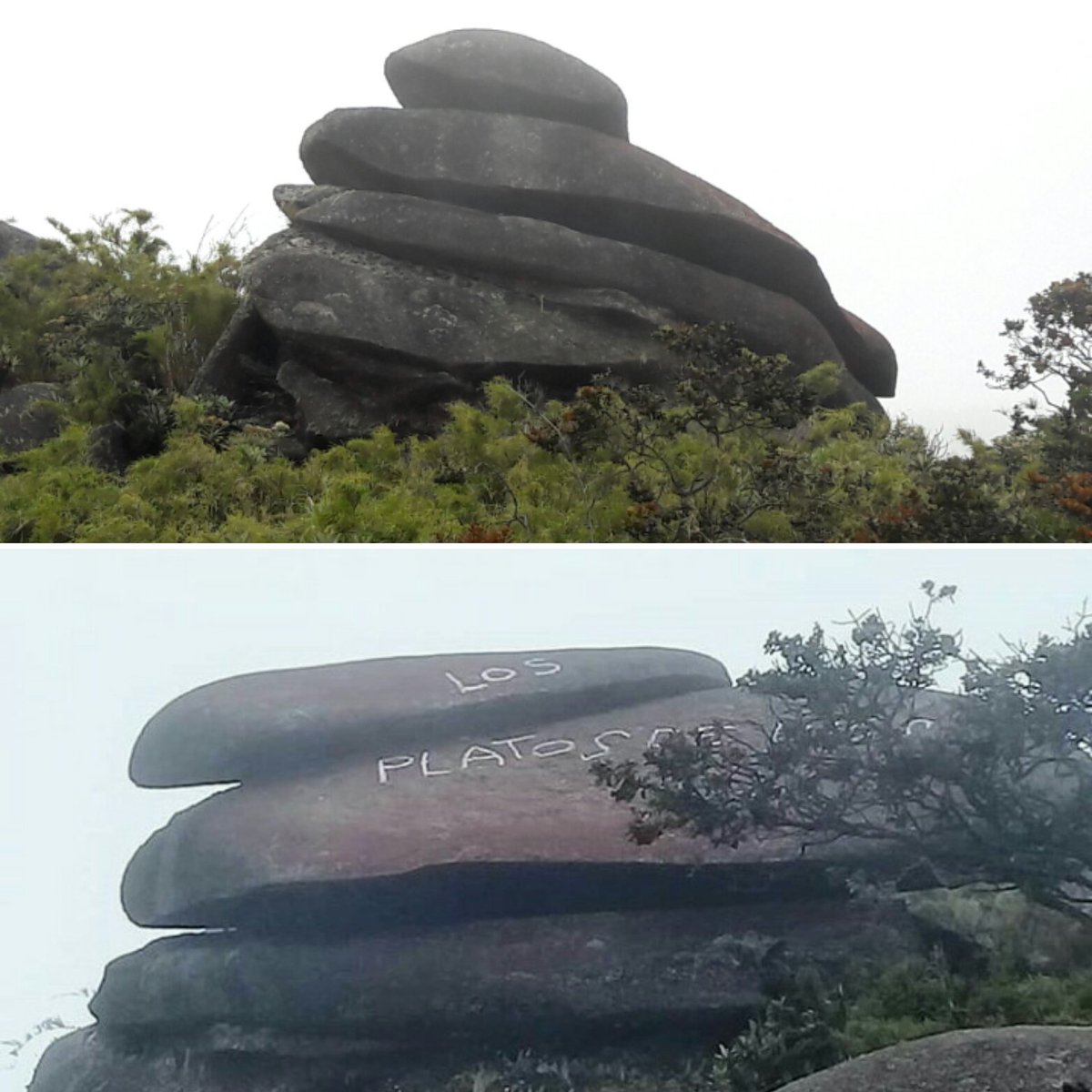 Los "humanos" tenemos esa extraña capacidad de sublimar lo más insignificante, pero a la vez poder destruir lo más importante.
El secreto de encontrar el equilibrio se llama respeto, lo contrario IGNORANCIA, que nos lleva a las peores atrocidades del mundo.