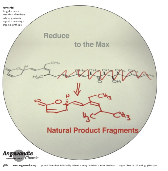 KarlGademann's tweet photo. For a long time, we have been interested in reducing the structural complexity of natural products, while retaining their biological activity, for a review of the field see: https://t.co/3Ur0OQD2E7 #reducetothemax (2/n) https://t.co/NmQQq9cRcu