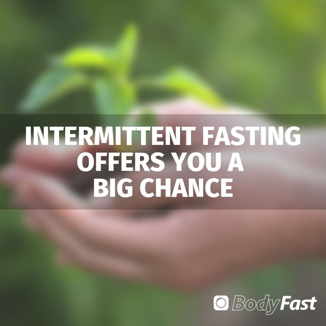 Bodyfast App Intermittent Fasting On Twitter Intermittent Fasting Is bodyfast-app-intermittent-fasting-on-twitter-intermittent-fasting-is