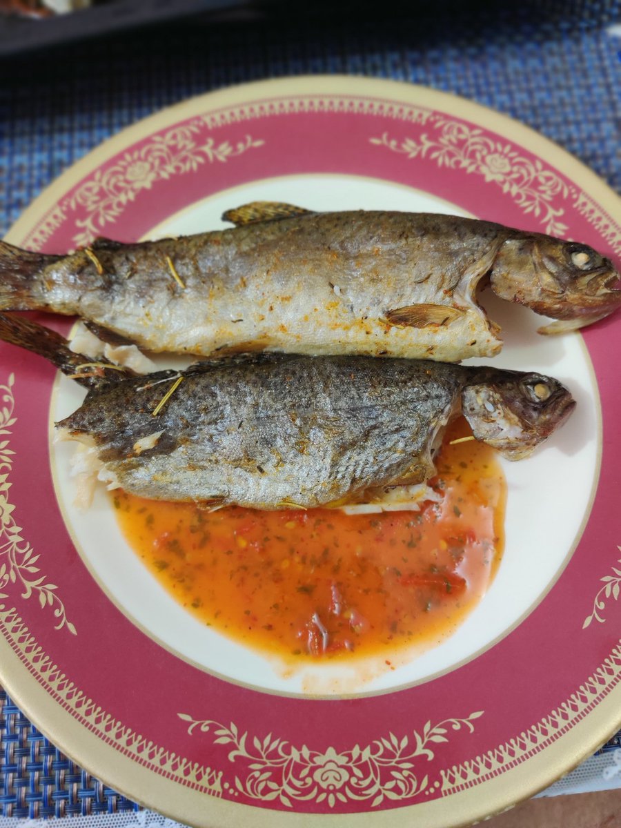 San Zin ⚡ tweet media