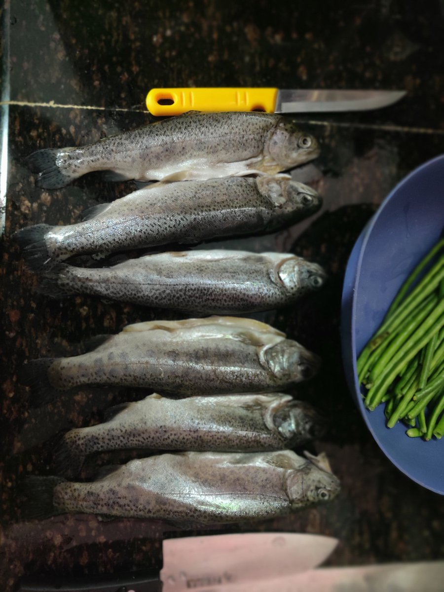 San Zin ⚡ tweet media