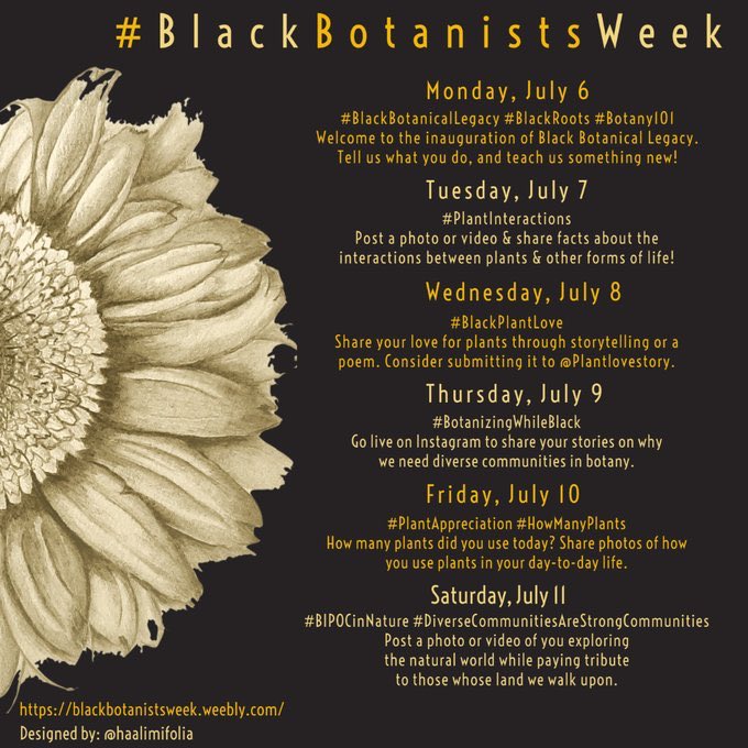 PlantLoveStory's tweet photo. It’s here! #BlackBotanistsWeek! We are excited for the whole week (but we’re a little partial to Wednesday’s #BlackPlantLove 😉❤️😎💚) https://t.co/CIwQ5t2mMW https://t.co/Uv2wyhxpz5