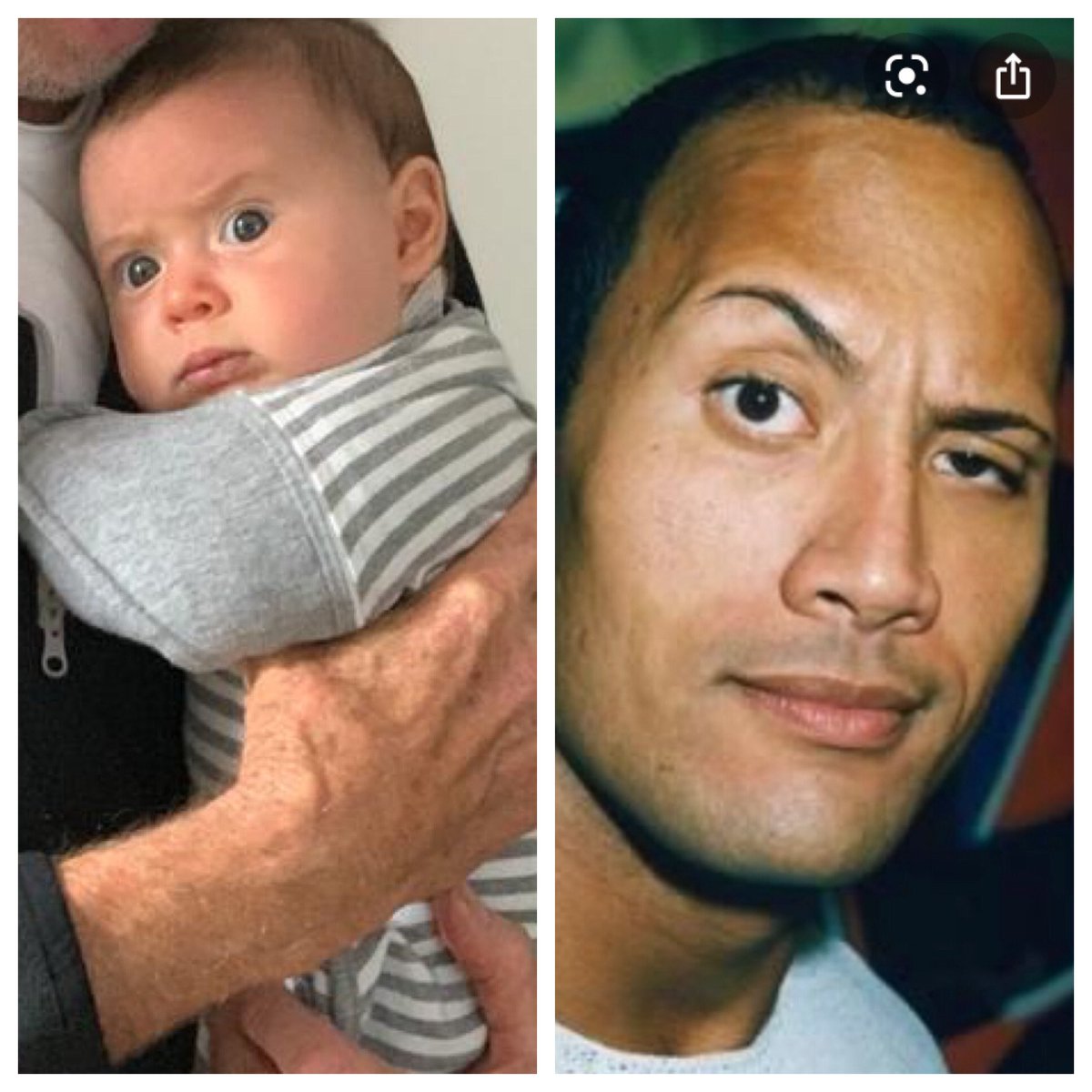 meremaid's tweet photo. @TheRock my baby does a really good impression of you. https://t.co/CVu1UVwTOF