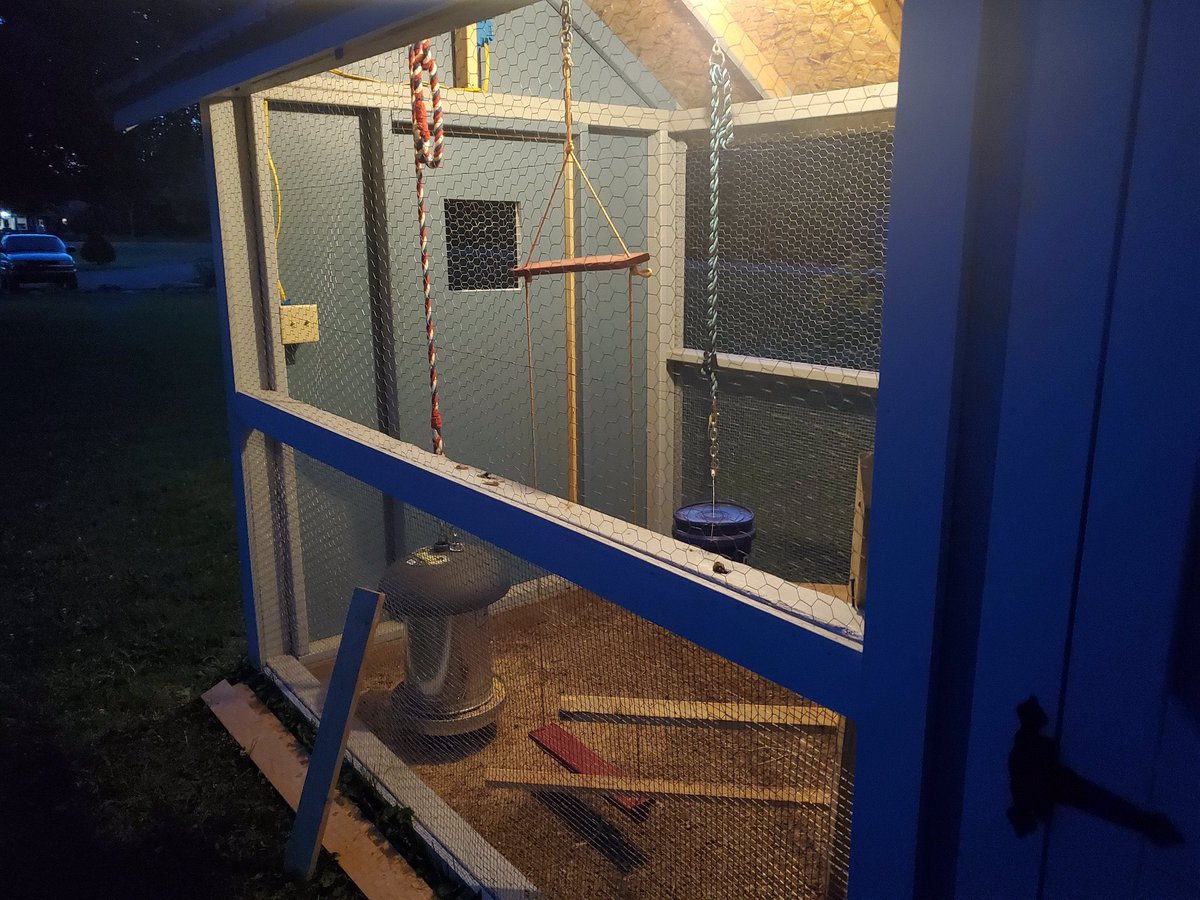 GrapeSolarInc's tweet photo. Check out this photo submission of our 200W kit installed on a chicken coop 🐓☀️ 

#offgrid #solarenergy #chickencoop #RenewableEnergy #farming #sustainableLiving https://t.co/kUXsIoavpB