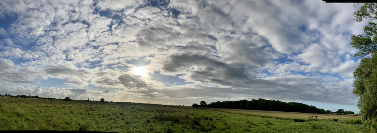 WildAnglia's tweet photo. Mornin all  just a day of sky’s today awesome clouds and awesome light keep an eye to the sky this week I think we are in for a corker of a week for sky’s Woofer,  nah head down a trottin and a sniffin 😀 https://t.co/zhIDpg3K1K