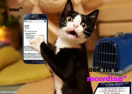 kittyguy77's tweet image. "ones Tuesday "recording" @laura1952 @Mcpheeeeee @SmithMadchen863 @ADRIANALARAIGNE 
@nancyjsiebert