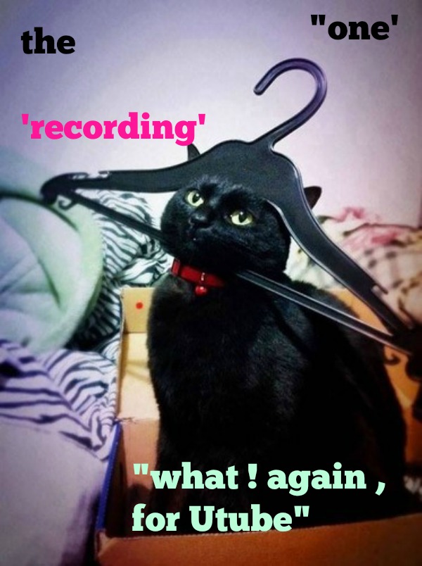 kittyguy77's tweet image. "ones Tuesday "recording" @laura1952 @Mcpheeeeee @SmithMadchen863 @ADRIANALARAIGNE 
@nancyjsiebert