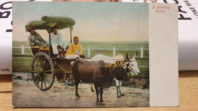 __Interfaith__'s tweet photo. For followers with an interest in #India, here is a postcard of a Bombay #Reckla. #Bombay is now #Mumbai but what is Reckla? A bull with a cart? The #postcard could be over 100 years old! You can see what was written on the back....
#IFMPC #deltiology #IncredibleIndia #postcards https://t.co/Y8UyTxAnVR