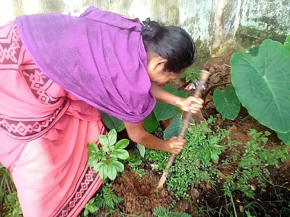 WcdNarayanpur's tweet photo. केरलापाल एवं गराजी में आंगनवाड़ी कार्यकर्ताओं द्वारा पौधारोपण किया गया। साथ ही पेड़-बचाओ के संदेश दिए गए।
@MinistryWCD @WCDCgGov @HealthCgGov @MoHFW_INDIA @NITIAayog @POSHAN_Official @SPreraks @NarayanpurDist @ChhattisgarhCMO @DPRChhattisgarh https://t.co/zMJtsB775w