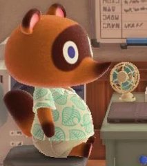 Tom Nook                      Tom Shook