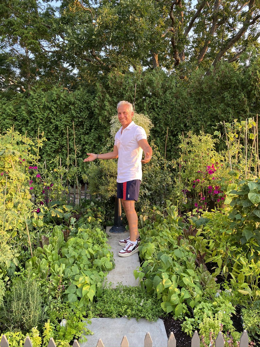 gzchef's tweet photo. Monday means back to work in the garden. Look at this progress! Has anyone else picked up this hobby in 2020? If so tell me, what are you growing at home? #AtHomewithGZ https://t.co/TtUO739CUt