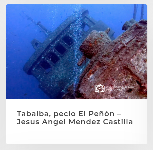 MiDiarioBuceo's tweet photo. Cómo alegra el día leer que los dos vídeos que presenté al #Fotovideosub2020 pasan a la siguiente fase de la votación popular, ya estar aquí es todo un honor. Si queréis votar podéis hacerlo aquí: https://t.co/qGNV9F3jC7 #fotovideosub @fotovideosub https://t.co/pfwYhaal7e