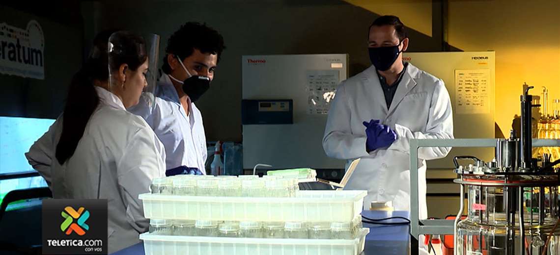 Telenoticias7's tweet photo. Laboratorio busca desarrollar terapia molecular contra COVID-19 | https://t.co/nff5rkXzeo https://t.co/N9Aahsxzb0