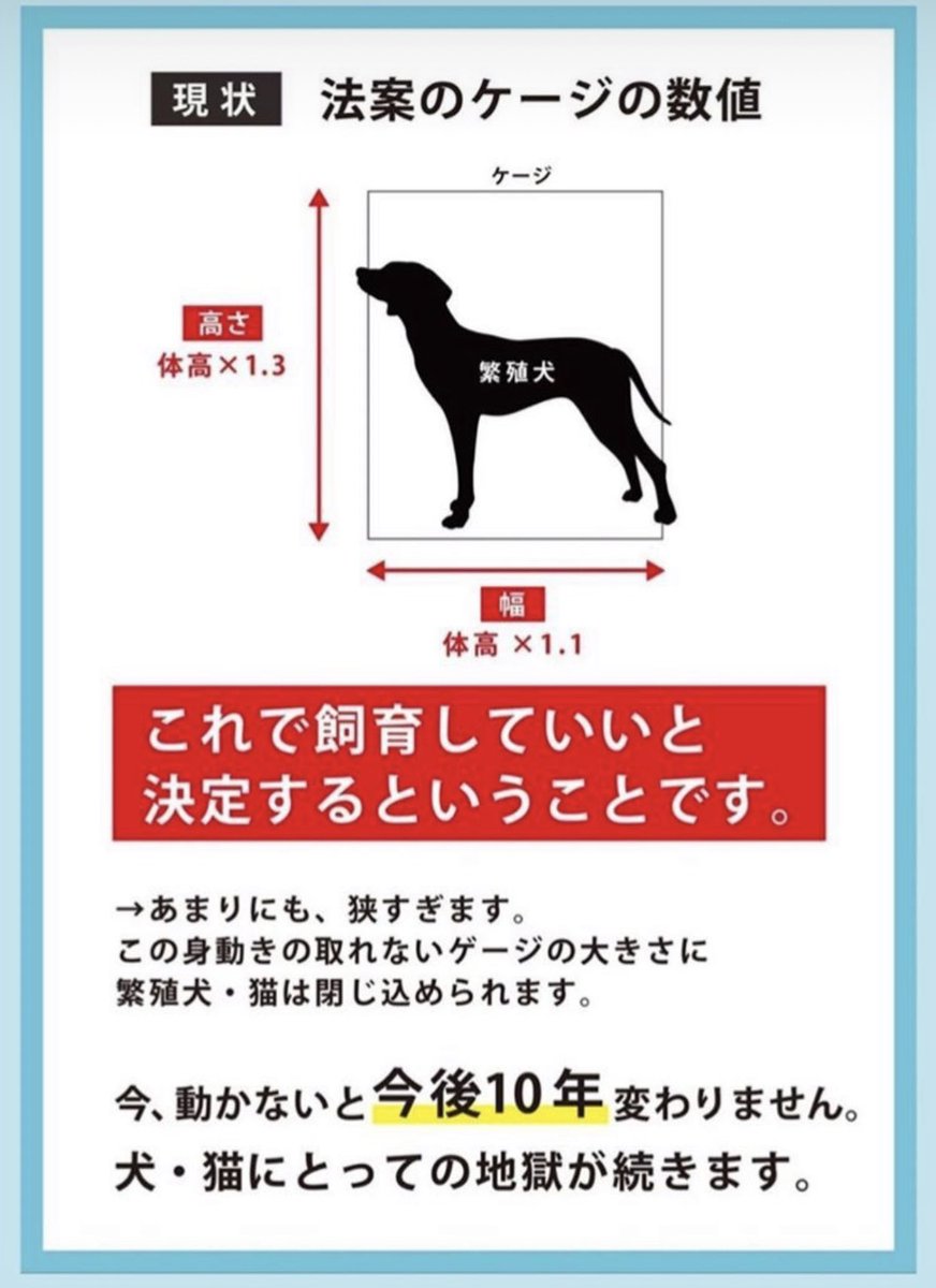 riorio16344's tweet photo. キャリーバッグより狭い場所で、繁殖犬を飼ってもいいという法律があります💢7／10に決まってしまいます💦法案否決のために環境庁に直接メール、拡散お願いします。https://t.co/8rGnZTE0zz に抗議文のテンプレートあります。環境庁のアドレスも入ってるので、名前入れればいいだけです！
#法案ゲージ https://t.co/96apYdempI