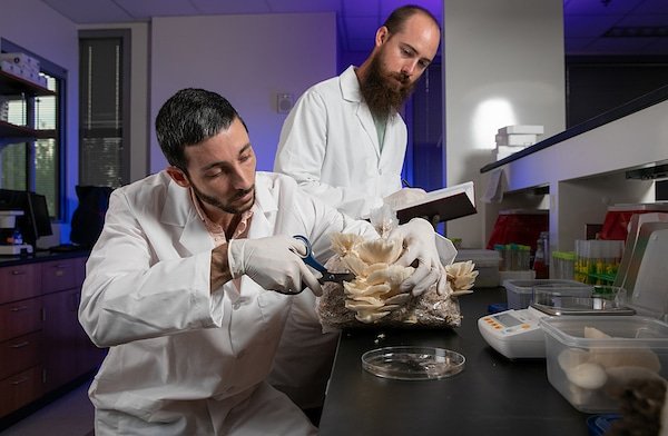 KSUresearch's tweet photo. Imagine being able to sustainably produce a nutritious and delicious food product that is not constrained by specific environmental conditions required to support a predominately plant-based agricultural industry. @kennesawstate https://t.co/1E1MNAw7kk https://t.co/SDARFOeNI5