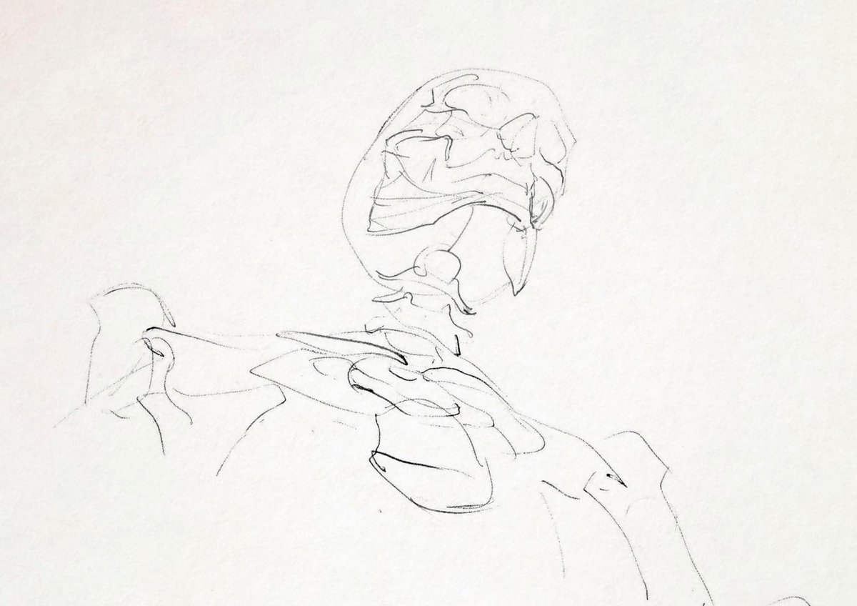 alindraws's tweet photo. Anatomy studies
#drawing #anatomy #sketchbook https://t.co/DM3Bz76u6U