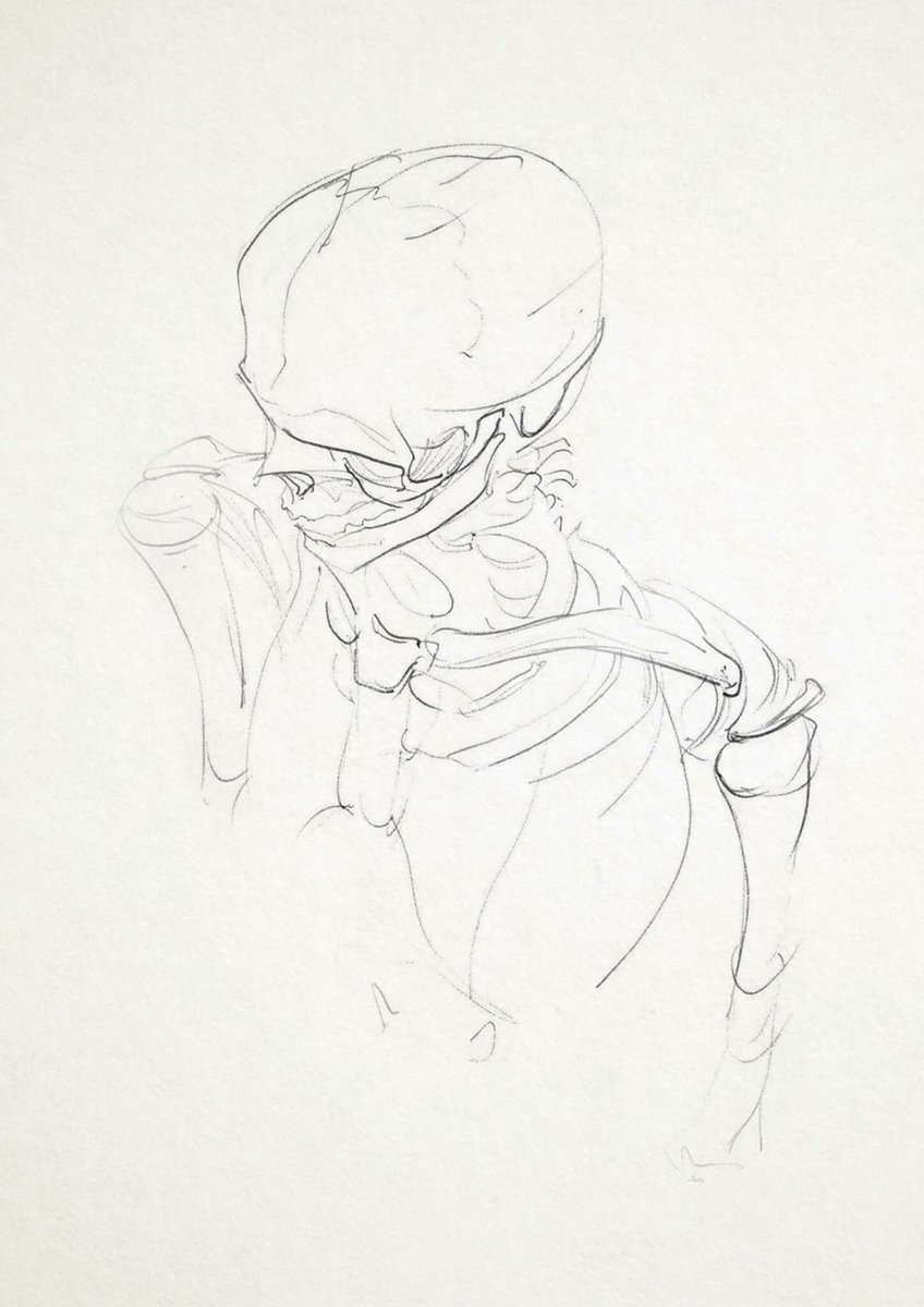alindraws's tweet photo. Anatomy studies
#drawing #anatomy #sketchbook https://t.co/DM3Bz76u6U