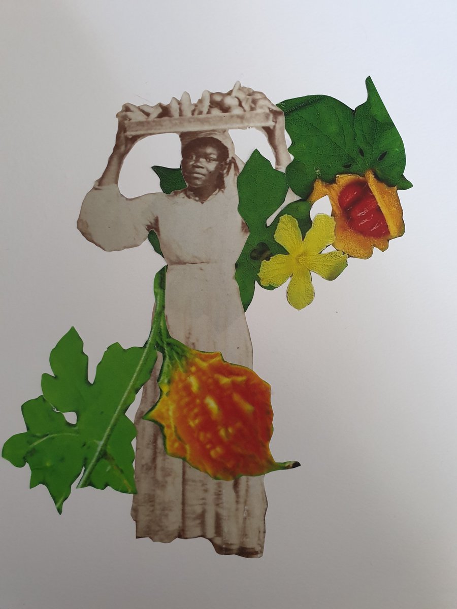 jaj204's tweet photo. woman wrapped in healing herbs ... #Cerasee ... #vintage postcard series ... https://t.co/KTr5Ujz7QI