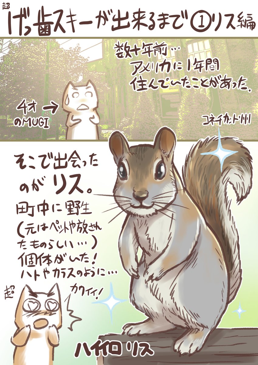 Mugi ぎんのすけ 超げっ歯スキーが出来るまで その1 リス編 げっ歯類関連のイベントが複数あるのでデグー以外のげっ歯遍歴も描いてみようと思います げっ歯類 リス T Co Ope786queq Twitter