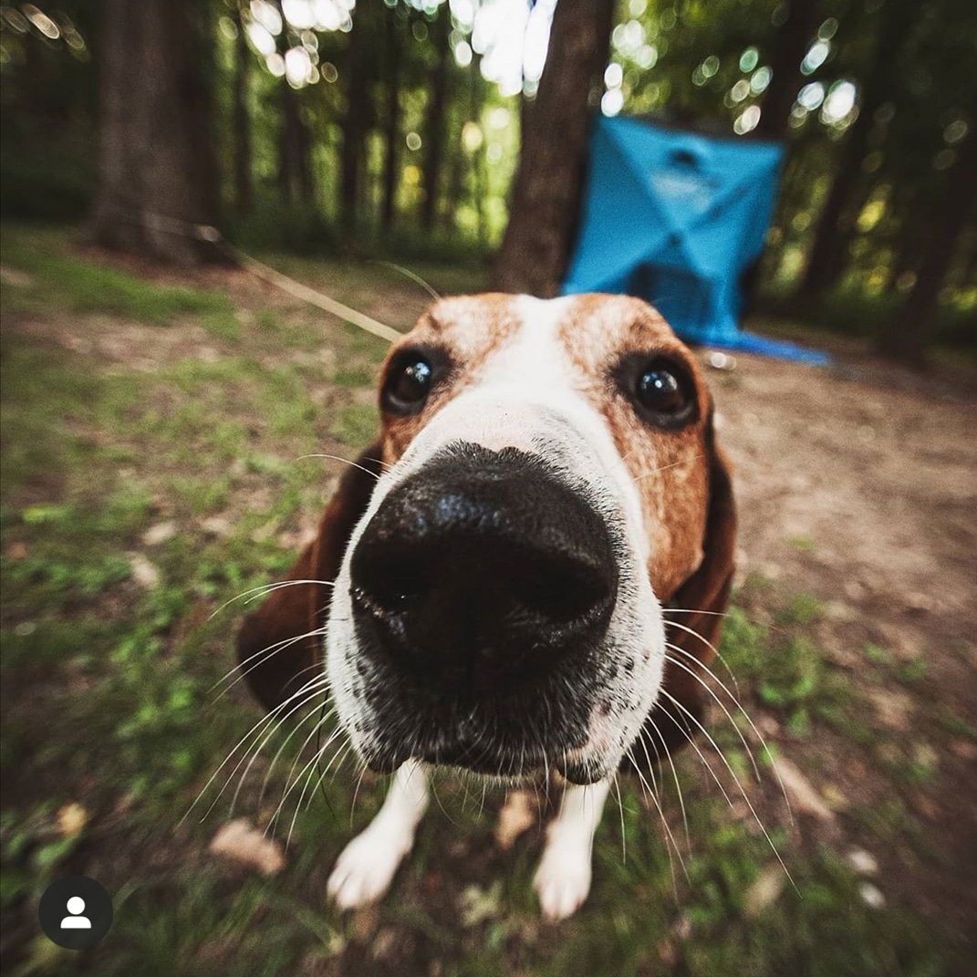 Great image in from a customer. #qubetents #qubeit #qubeair