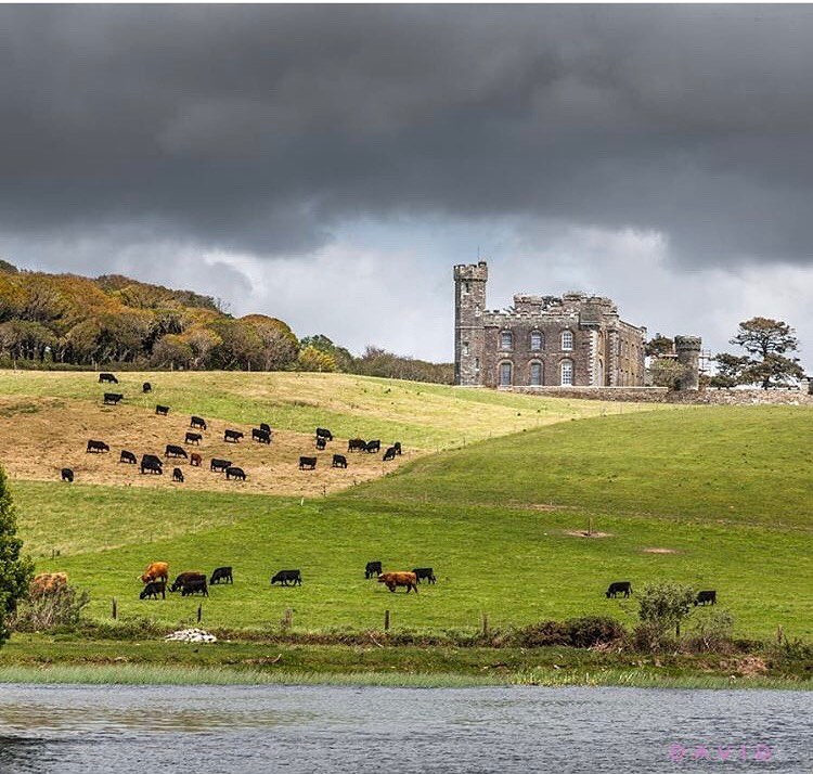irelandcalling1's tweet photo. Looks like the cows at Castlefreke might be about to get wet.

Great photo by @creedonphoto

#ireland #irelandcalling https://t.co/QpZwCS4RVz