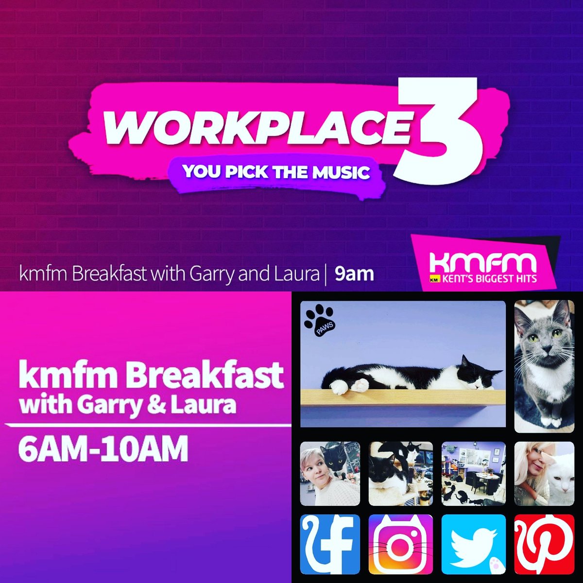 PawsCatCafe's tweet photo. Tune in tomorrow at 9am to listen to us on @kmfmofficial Workplace 3 with Gary and Laura!
#Workplace3 #kmfm #paws #catcafe #tonbridge https://t.co/mDBIEWhy4l
