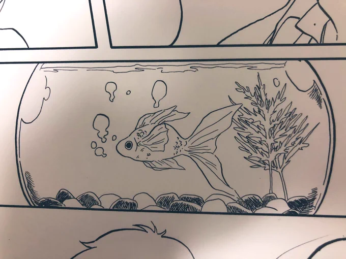 金魚 