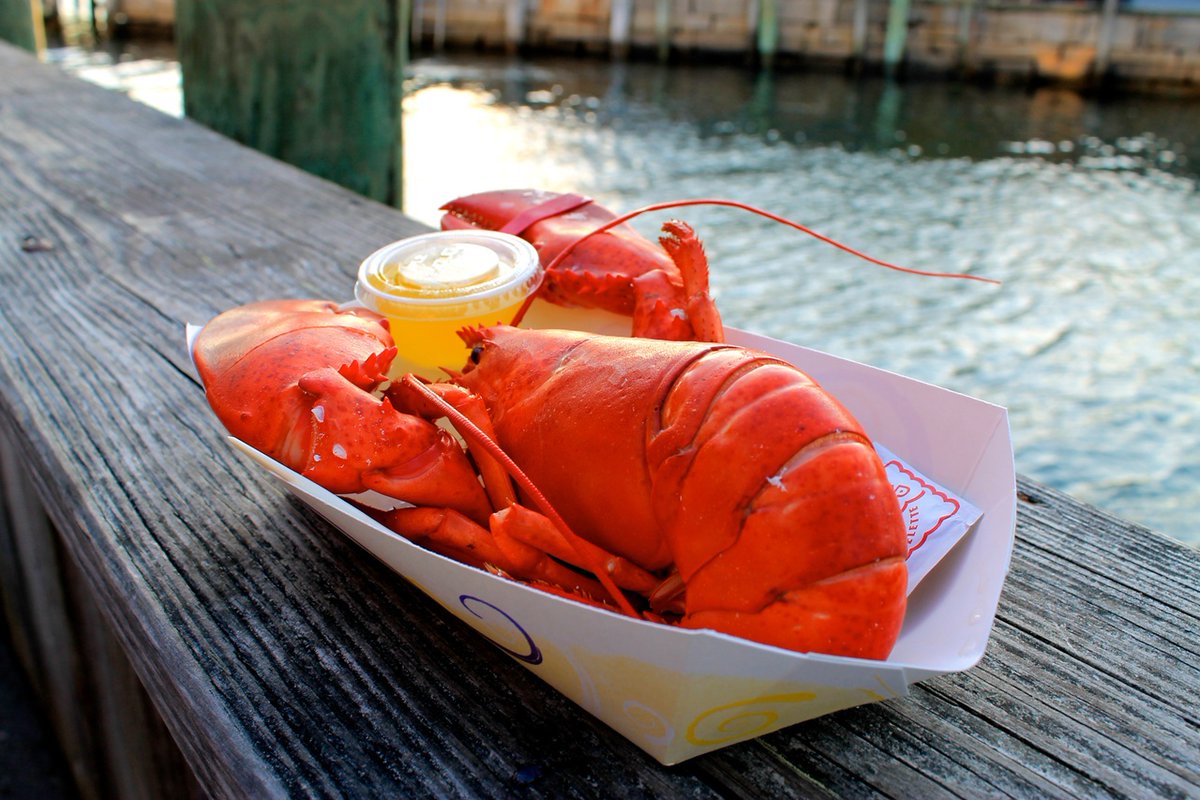 bealslobster's tweet photo. We’re making a donation to @FeedingAmerica and you can help! A portion of the proceeds from each sale will be donated to #FeedingAmerica, and we're honored to help make a difference in our community. #BealsLobsterPier https://t.co/bU9d5sXzlZ