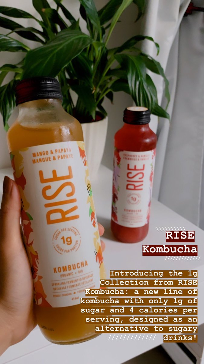 tealatteIG's tweet photo. RISE Kombucha’s new summer collection ❤️ Trying Raspberry + Vanilla &amp; Mango Papaya • https://t.co/VvnGA0EaPj #Vancouver #kombucha #mailbox https://t.co/w37HrVVW6W
