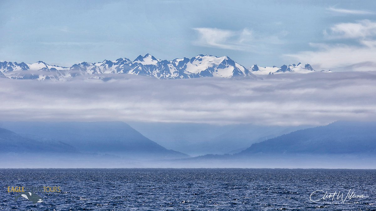 eaglewingtours's tweet image. Sights of the #SalishSea: The spectacular Olympic Mountains
Showtime Photography 
@DestinationCAN @TourismVI @HelloBC @victoriavisitor
#wild4whales #restartbc #staycation #supportlocal