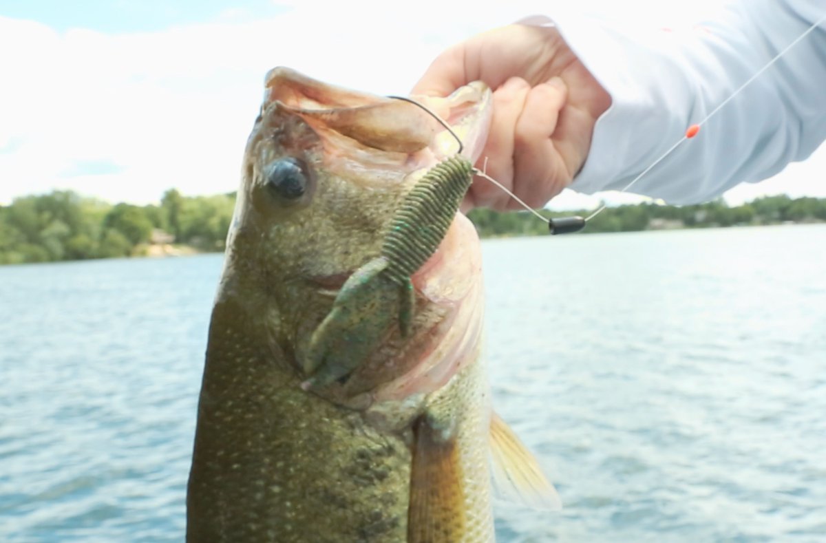 When I tie a texas rig I like a to put a rubber stopper 6 to 8 inches away from the hook. This gives it more action when retrieving. #BerkleyFishing #TexasRig #BassFishing #Powerbait #PowerbaitMaxScent