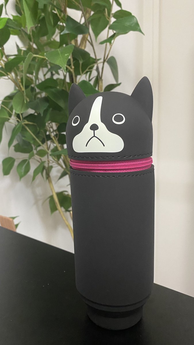 あまりにかわいくて…
買ってしまった…悔しい…悔しい…