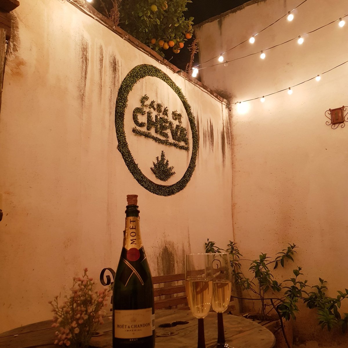CasaCheva's tweet photo. "Un viaje se mide mejor en buena compañía, que en kilómetros" 

#CasaDeCheva
#TeulPuebloMágico
#CasaBoutique 
#Airbnb 
#ZacatecasDeslumbrante 

@turismo_teul 
@ZacatecasTravel 
@MagicosMex 
@TurismoUAZ https://t.co/HkqnwKStW2