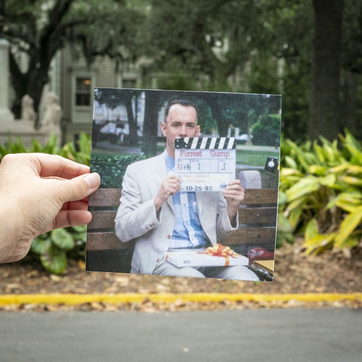 Happy Anniversary! Forrest Gump was released on July 6, 1994. Be sure to visit the filming sites of your favorite scenes right here in #Savannah!
