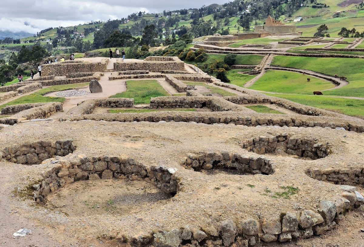 Latin Frontiers tweet media