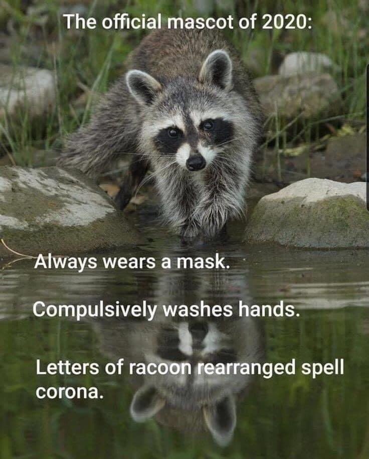 FahQ46's tweet photo. 2020 Mascot... https://t.co/0modWlC2Cy